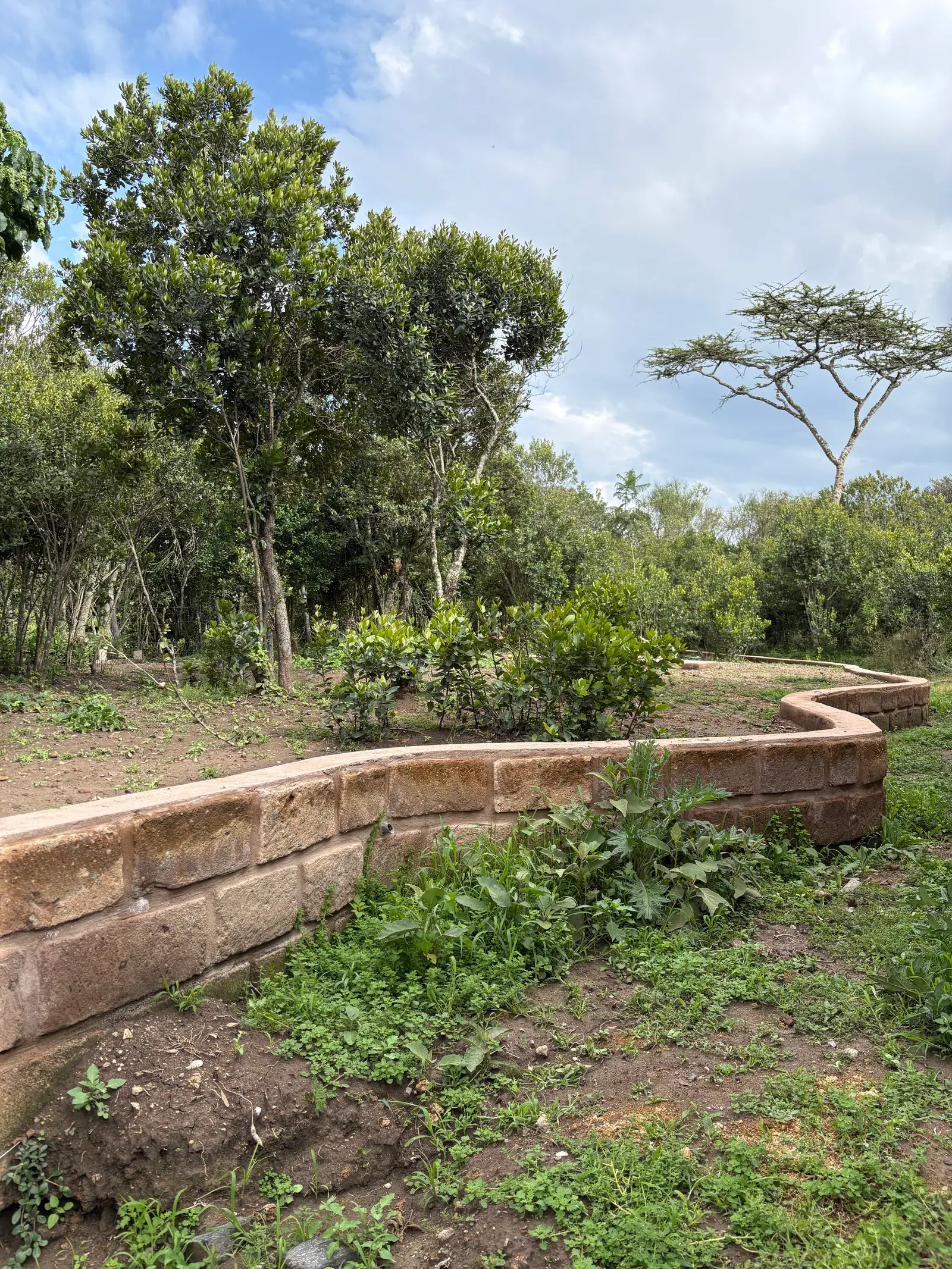 CGreen residential project in Laikipia, image 3