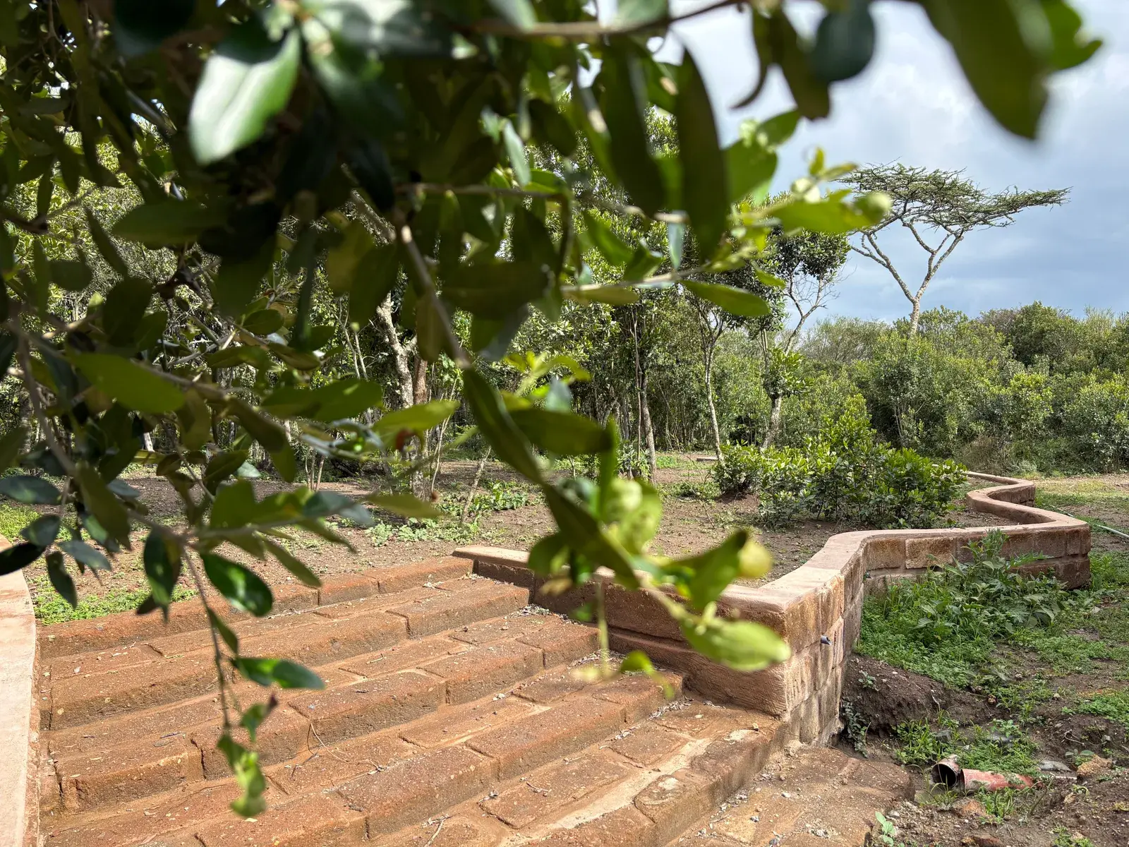 CGreen residential project in Laikipia, image 4