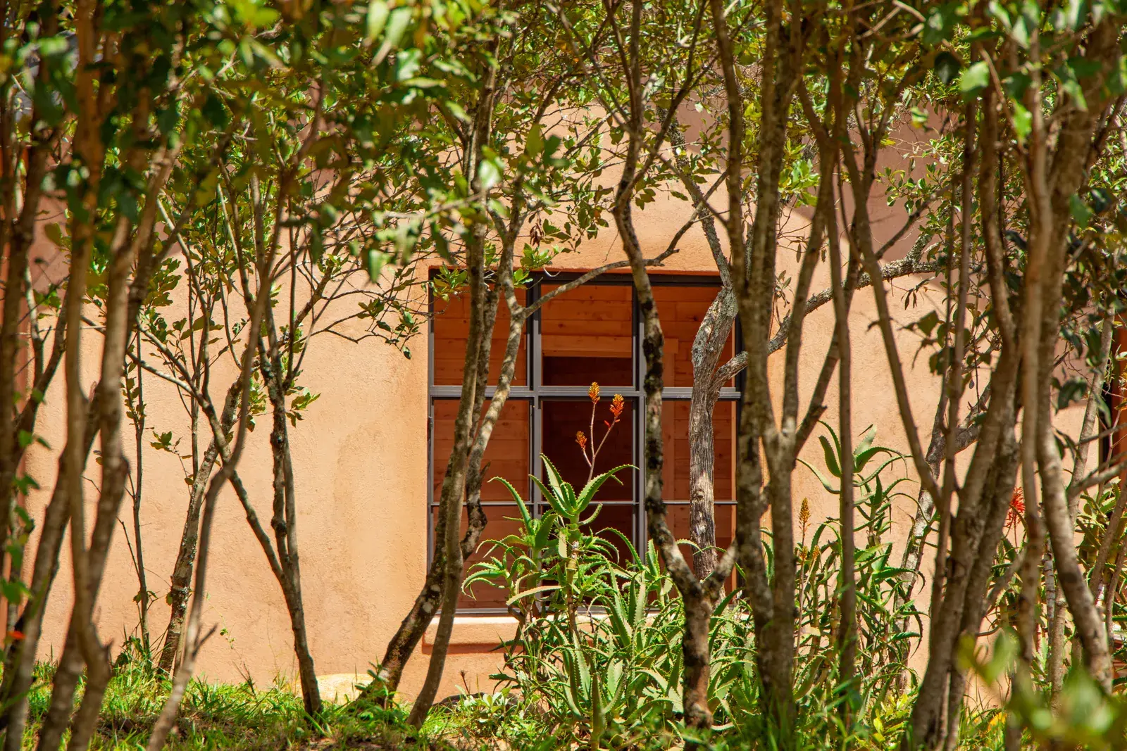 Cypy residential project in Laikipia, image 8