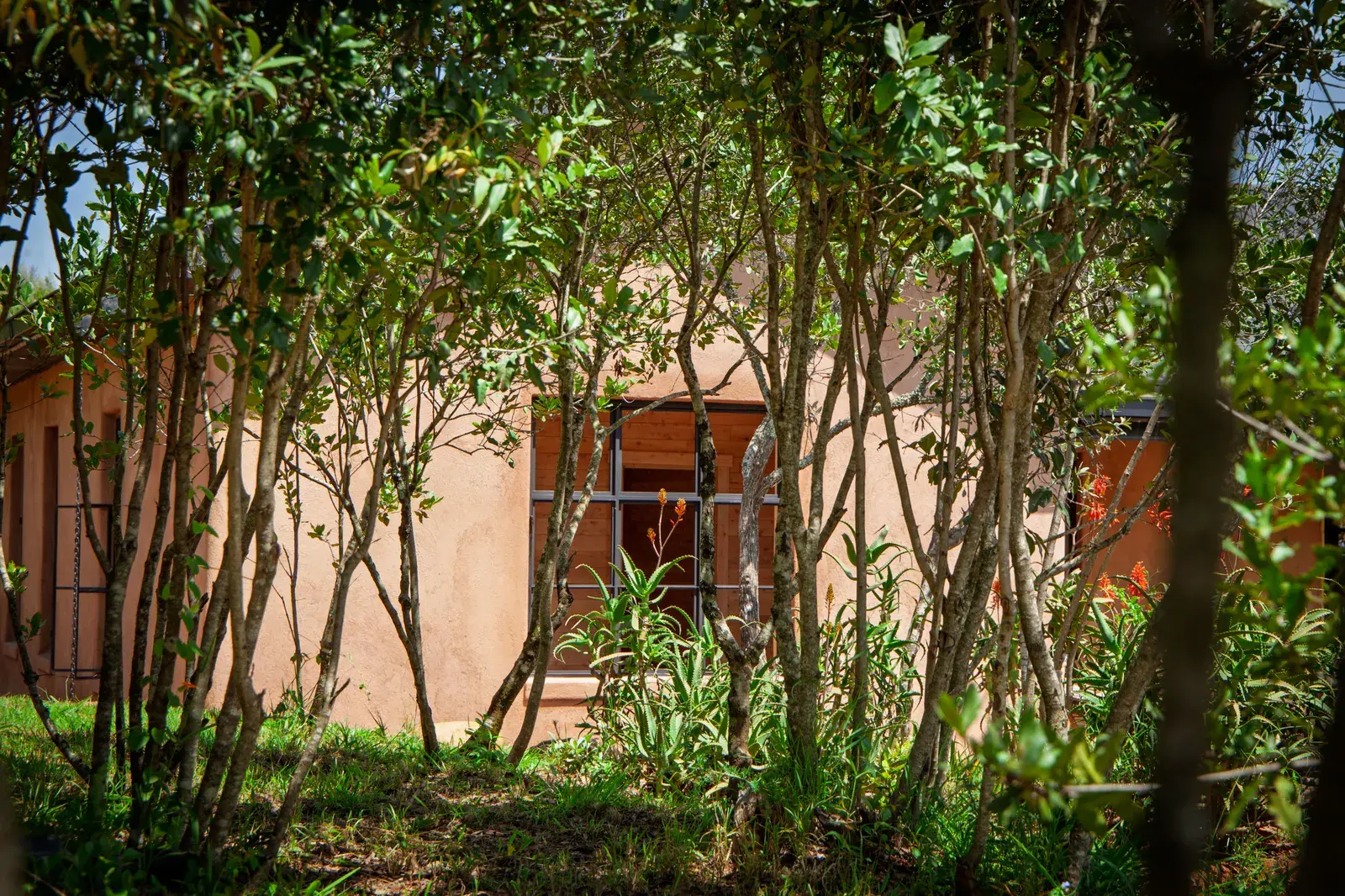 Cypy residential project in Laikipia, image 9