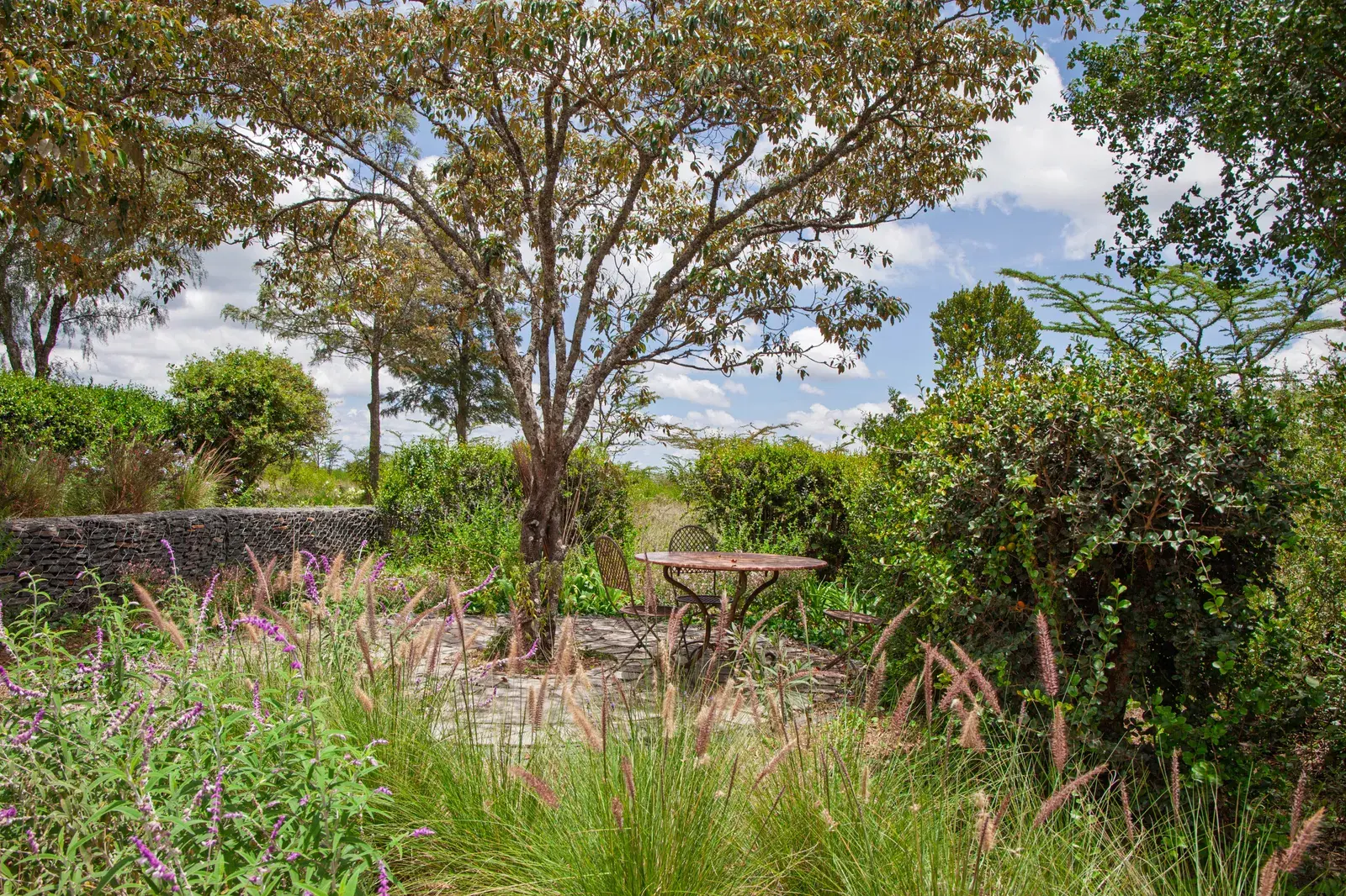 Ridgemont residential project in Laikipia, image 4