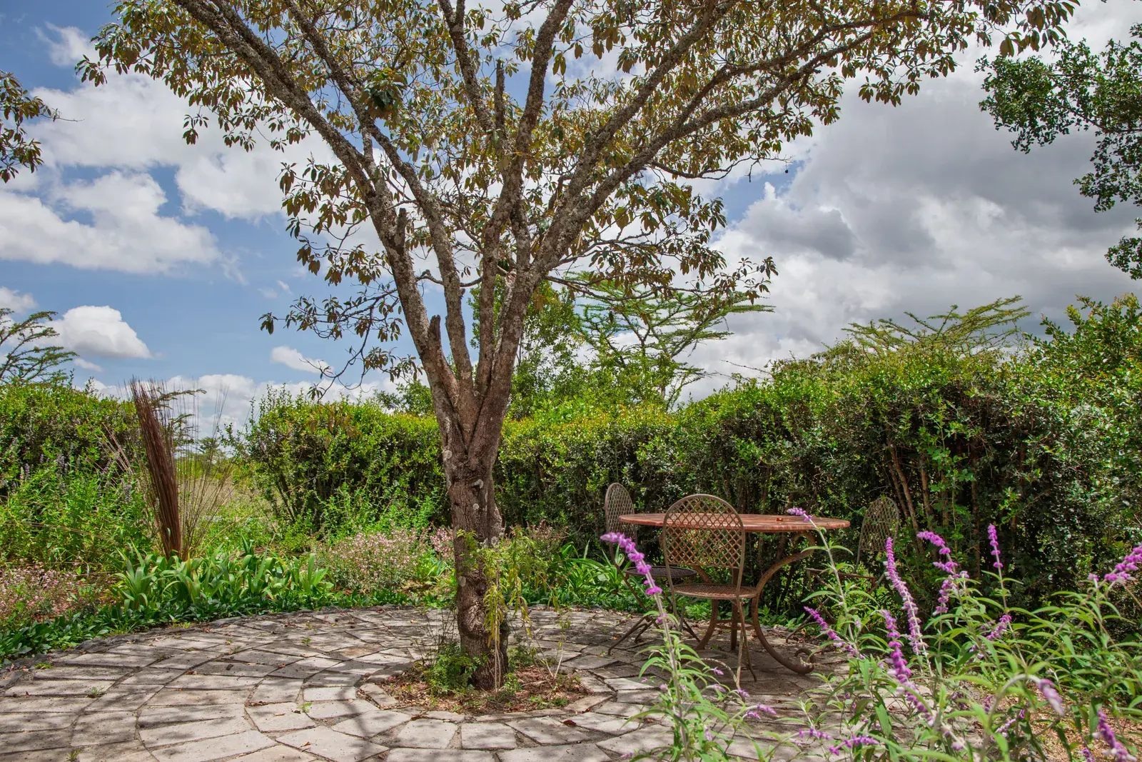 Ridgemont residential project in Laikipia, image 5